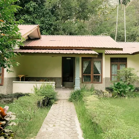 Ecolodge Bukit Lawang-3